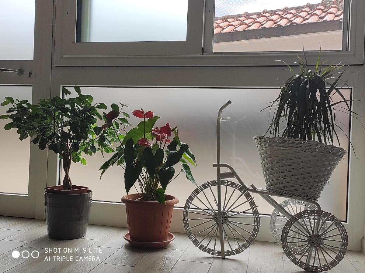 スルモナ Il Labirinto Bed & Breakfast エクステリア 写真